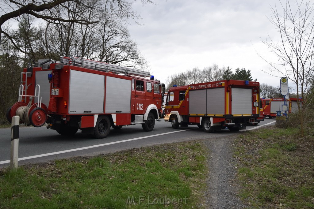 Waldbrand Wahner Heide Troisdorf Eisenweg P318.JPG - Miklos Laubert